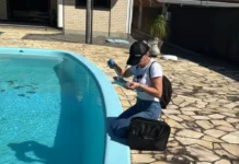 Dengue: Segundo foco do mosquito acende alerta em Morro da Fumaça