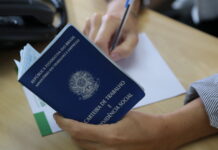 Oportunidades de Emprego em Santa Catarina