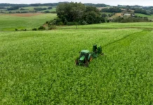 BRDE Investe R$ 800 Milhões no Agronegócio Catarinense em 2025