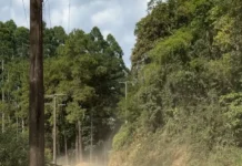 Rodovia da Imigração Italiana será asfaltada em Urussanga