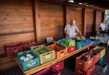 Feira da Agricultura Familiar de Morro da Fumaça retorna nesta quarta-feira, 04/02