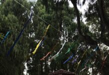 Bloco da Benedetta: Urussanga terá atrações para crianças e adultos na terça-feira de Carnaval