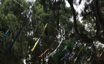 Bloco da Benedetta: Urussanga terá atrações para crianças e adultos na terça-feira de Carnaval