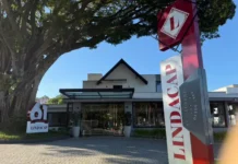 Carnaval Infantil no Lindacap: Diversão e Gastronomia em Florianópolis