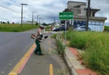 Força-tarefa acelera roçadas e amplia manutenção urbana em Cocal do Sul