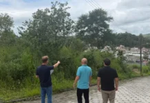 Urussanga intensifica fiscalização de terrenos baldios