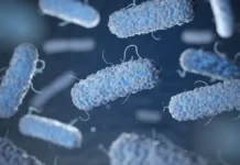 Simpósio Aborda Desafios da Salmonella na Produção Animal e Segurança Alimentar