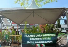 Semana da Água mobiliza escolas e comunidade e encerra com distribuição de mudas em Cocal do Sul