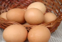 Preços de Ovos de Galinha em Santa Catarina Registram Alta de 9,2% em Fevereiro