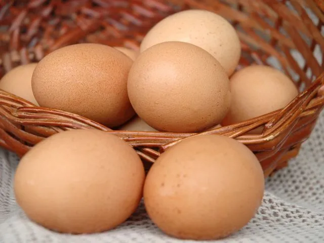 Site-Epagri-0lJRAV.tmp