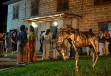 Museu ao Ar Livre abre exposição “Olhar para Dentro” e reúne 17 artistas em Orleans