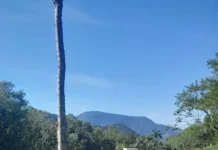 Crianças e adolescentes do Novos Caminhos têm Páscoa com acolhimento, natureza e afeto