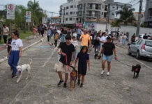 2ª Cãominhada será realizada neste domingo em Morro da Fumaça