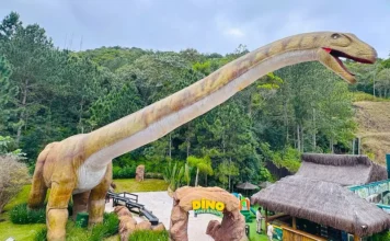 Balneário Camboriú: O Destino Turístico que Oferece Experiências para Toda a Família