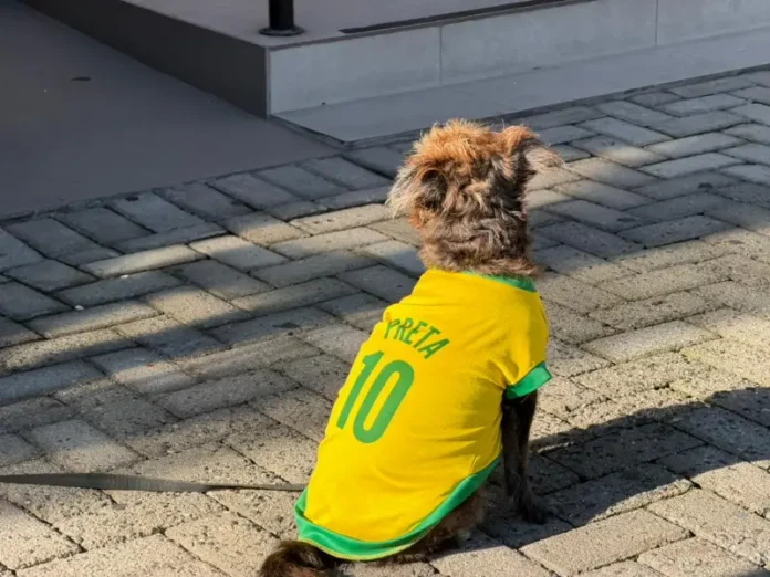 C__ominhada_promove_conscientiza____o_sobre_bem-estar_animal_neste_s__bado_em_Cocal_do_Sul_2.jpeg