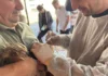 Governo fumacense promove segunda etapa da Campanha de Vacinação Antirrábica e Vermifugação e 1º Comunidade em Foco neste sábado