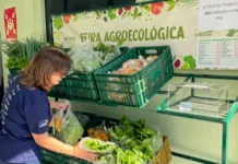 Feira Agroecológica do Unibave volta a disponibilizar produtos orgânicos para colaboradores e comunidade