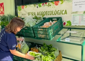 Feira Agroecológica do Unibave volta a disponibilizar produtos orgânicos para colaboradores e comunidade