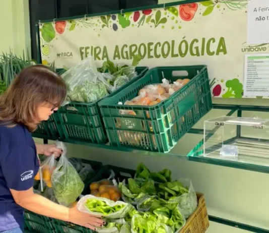 Feira Agroecológica do Unibave volta a disponibilizar produtos orgânicos para colaboradores e comunidade