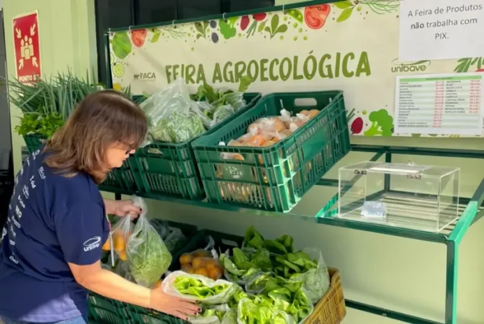 Feira_agroecologica__5_.jpeg