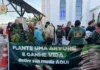 Sábado Especial garante seis adoções, distribui 300 mudas e reúne cerca de 60 cães em Cocal do Sul