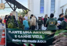 Sábado Especial garante seis adoções, distribui 300 mudas e reúne cerca de 60 cães em Cocal do Sul
