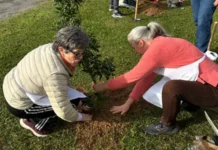 Ações voltadas à sustentabilidade encerram a Semana do Meio Ambiente em Urussanga