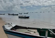 Ecoturismo e Bioeconomia: A Dupla que Coloca a Preservação no Centro da Economia