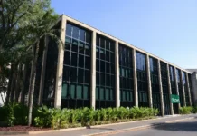 Mercado de Biológicos na Cana-de-Açúcar: Crescimento de 34% e Liderança da Koppert Brasil