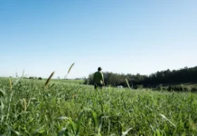 Dia do Agricultor: desenvolvimento do setor conta com o apoio da municipalidade