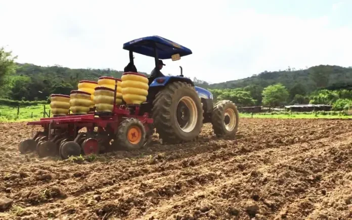 Agricultura_Urussanga__2_.jpg