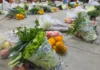Urussanga recebe 3,5 toneladas de alimentos de programa social para atender famílias e instituições