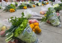 Urussanga recebe 3,5 toneladas de alimentos de programa social para atender famílias e instituições