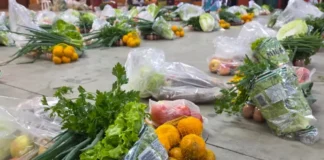 Urussanga recebe 3,5 toneladas de alimentos de programa social para atender famílias e instituições