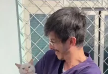 Pet Levado a Sério: mais de 90 animais são castrados em Urussanga